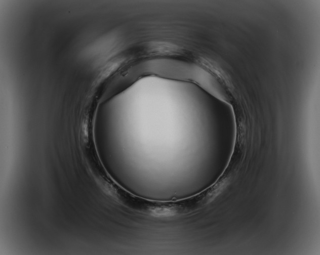 X0000085830358200703231425