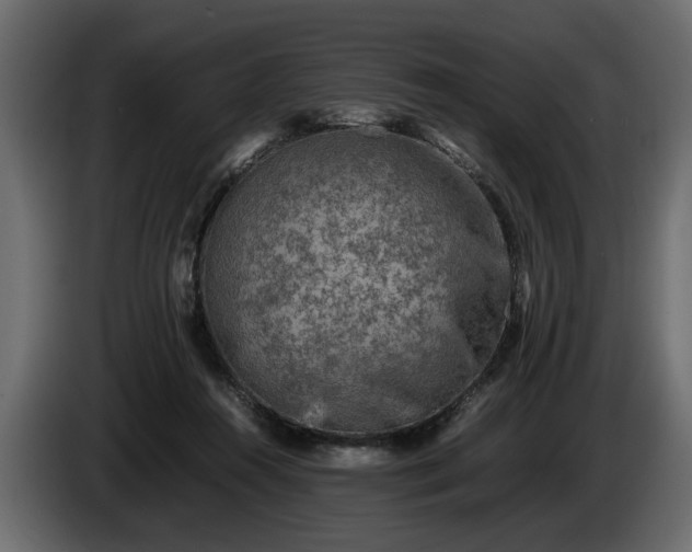 X0000085830360200703231425