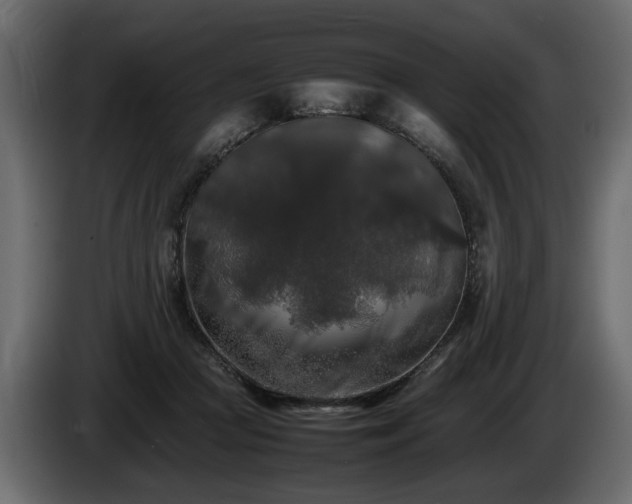 X0000085830361200703231425