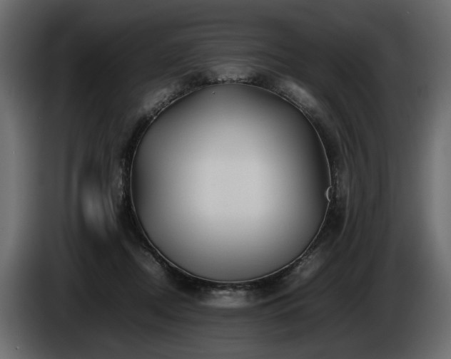 X0000085830362200703231425