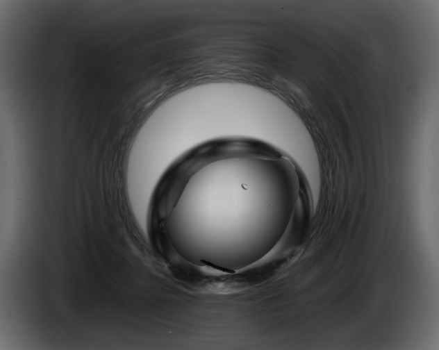 X0000085830364200703231425