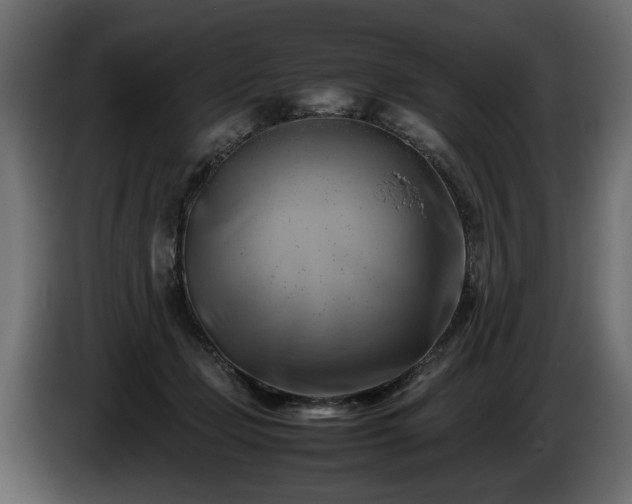 X0000085830365200703231425