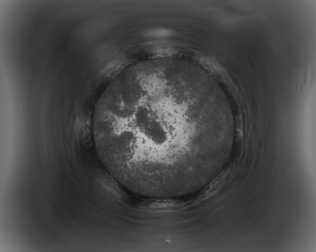 X0000085830369200703231425