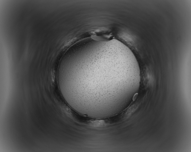 X0000085830374200703231426