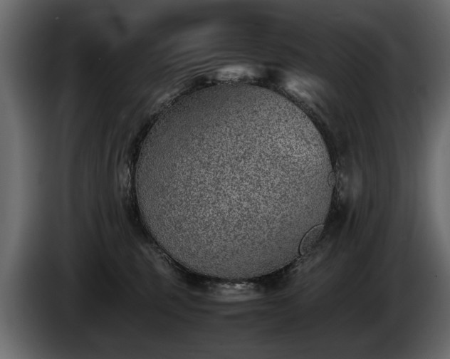 X0000085830375200703231426