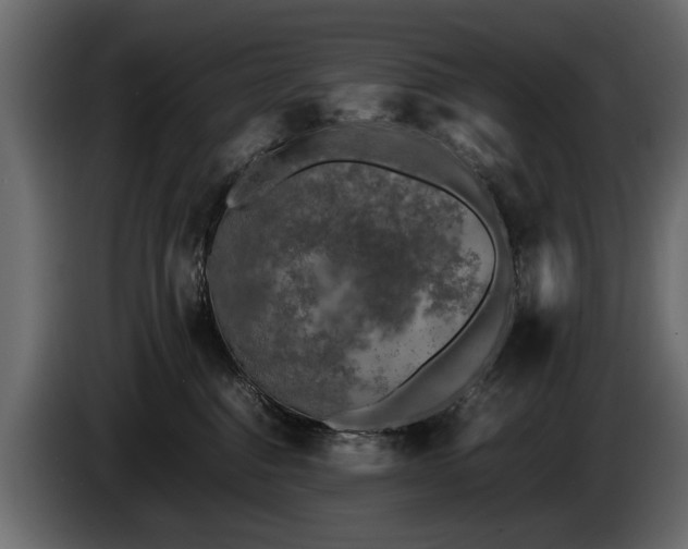 X0000085830376200703231426