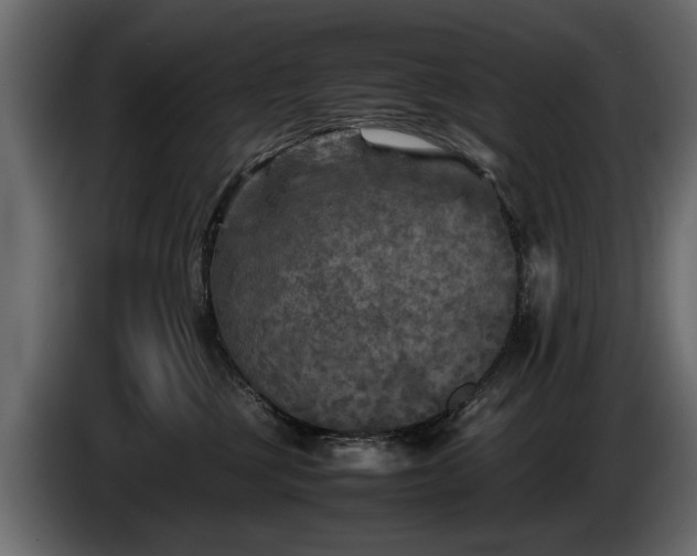 X0000085830377200703231426