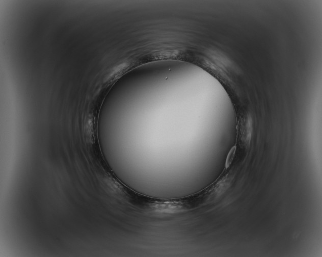 X0000085830378200703231426