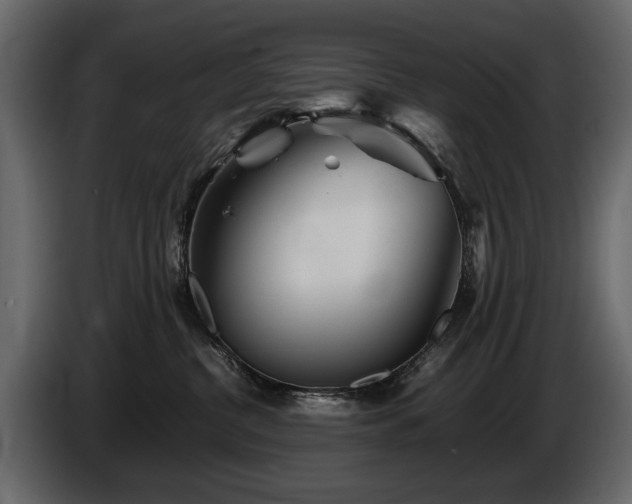 X0000085830380200703231426