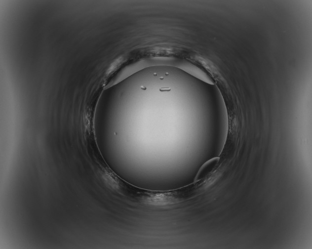 X0000085830382200703231426