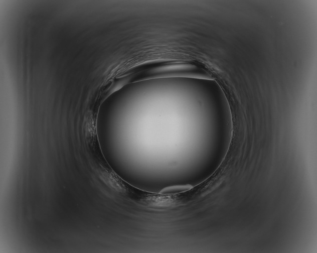 X0000085830384200703231426