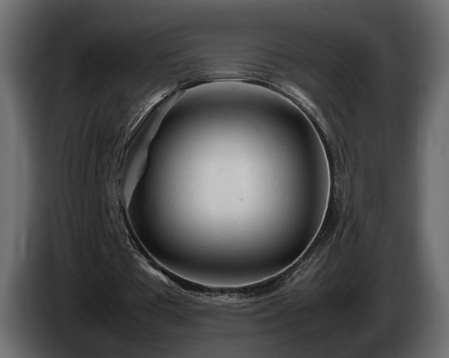 X0000085830385200703231425