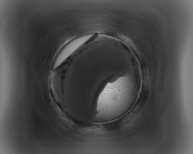 X0000085830386200703231425