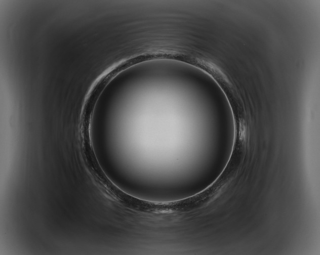 X0000085830388200703231425