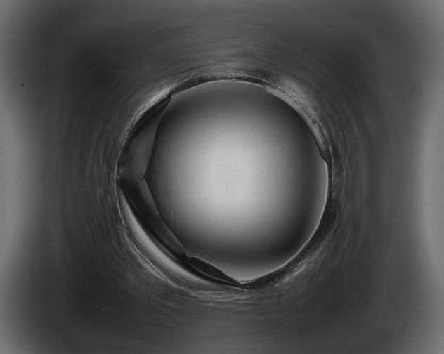 X0000085830389200703231425