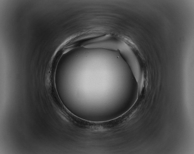 X0000085830392200703231425