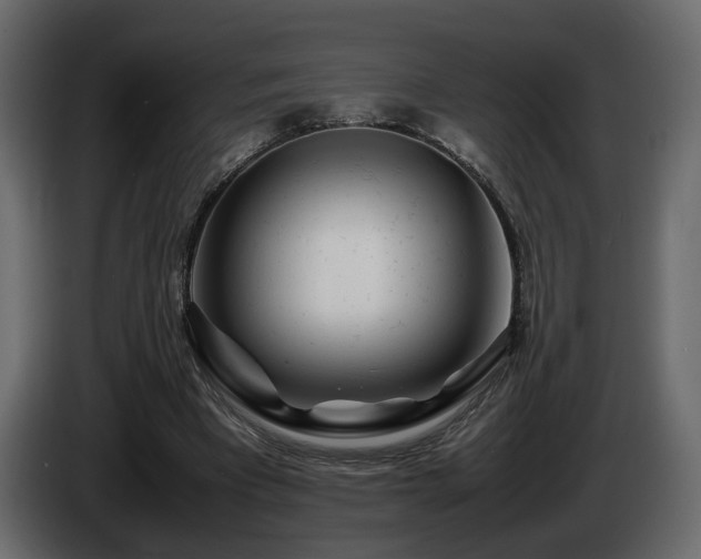 X0000085830393200703231425