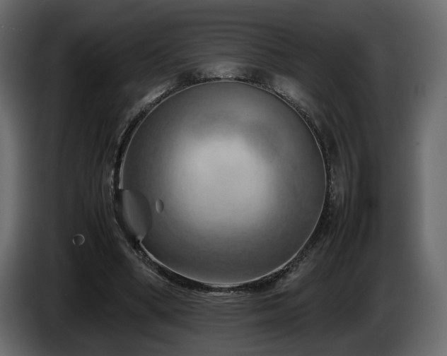 X0000085830394200703231425