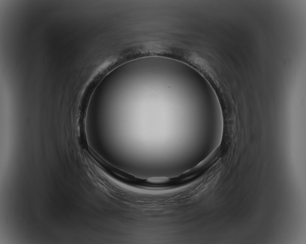 X0000085830395200703231425