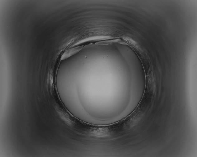 X0000085830398200703231425