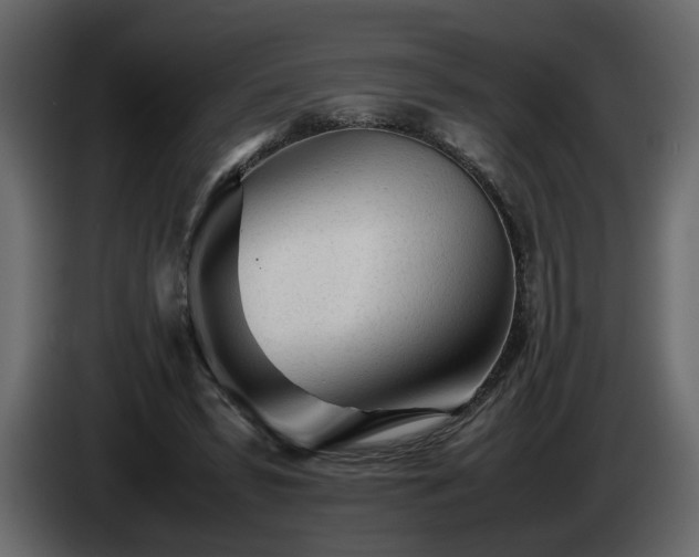 X0000085830399200703231425