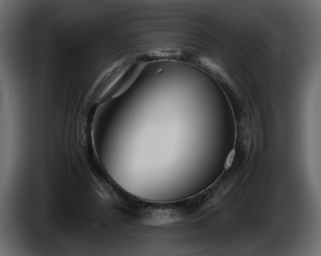 X0000085830400200703231425