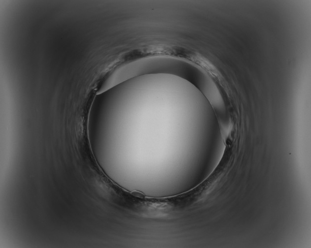 X0000085830401200703231425