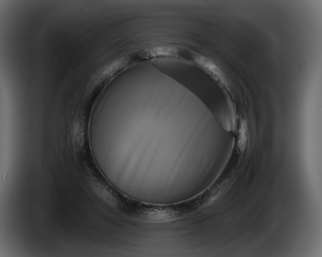 X0000085830402200703231425