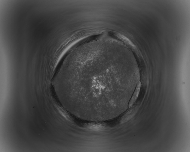 X0000085830405200703231425