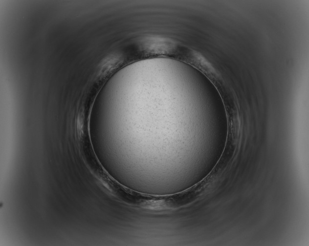 X0000085830406200703231425