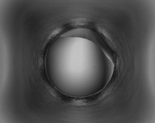 X0000085830407200703231425