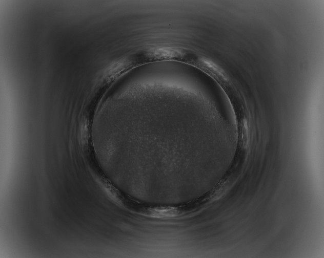 X0000085830410200703231425