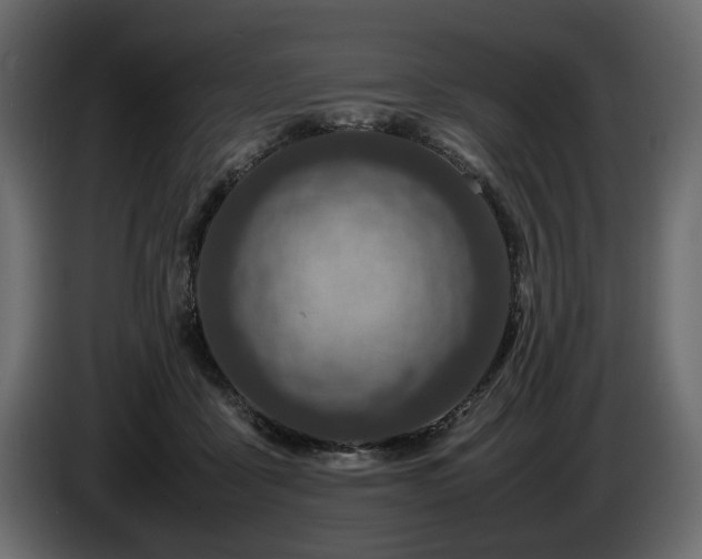 X0000085830411200703231425