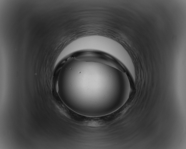 X0000085830412200703231425