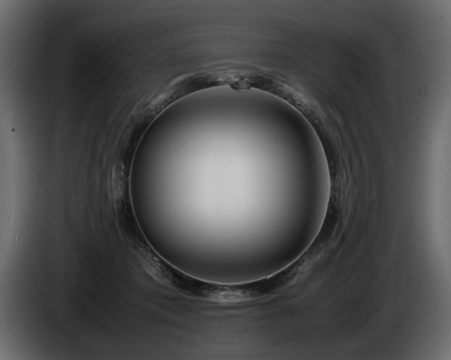 X0000085830413200703231425