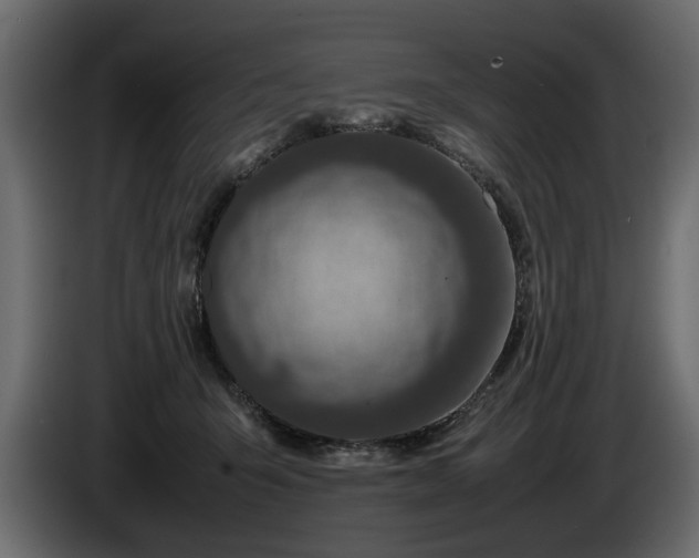 X0000085830415200703231425