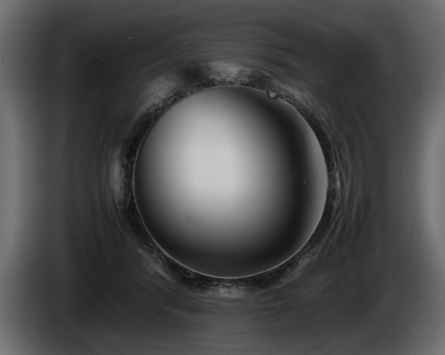 X0000085830416200703231425