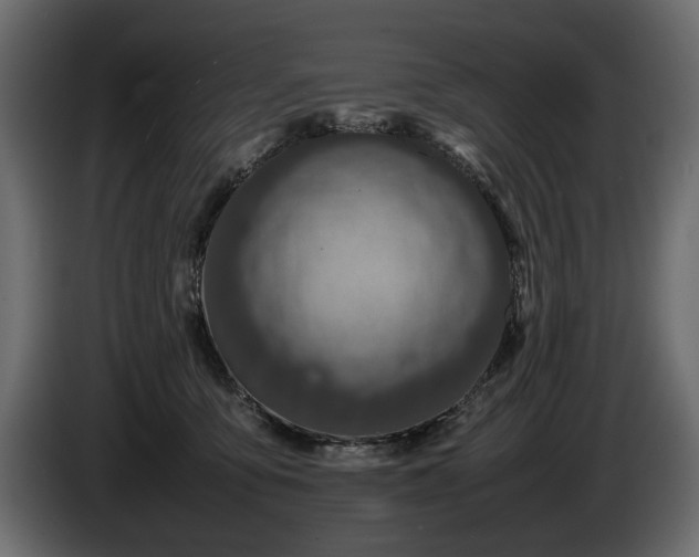 X0000085830419200703231425