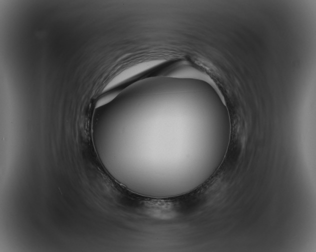 X0000085830421200703231425