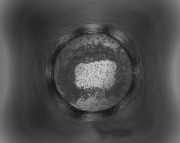 X0000085830423200703231424