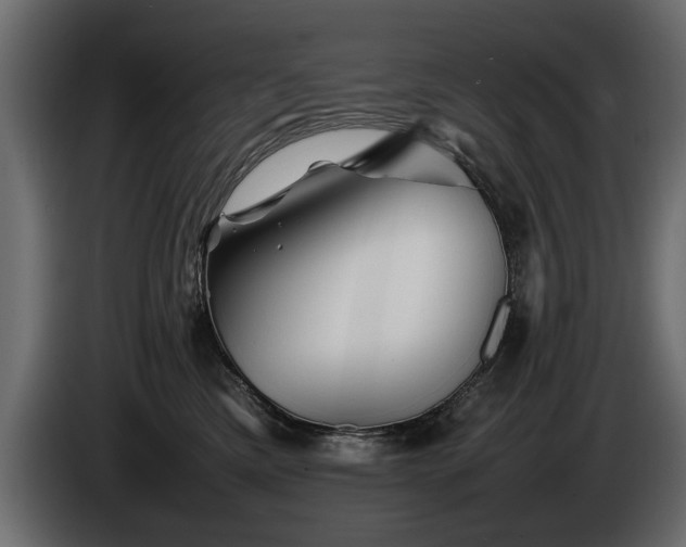 X0000085830425200703231424