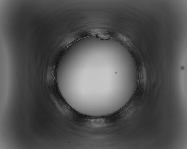 X0000085830426200703231424