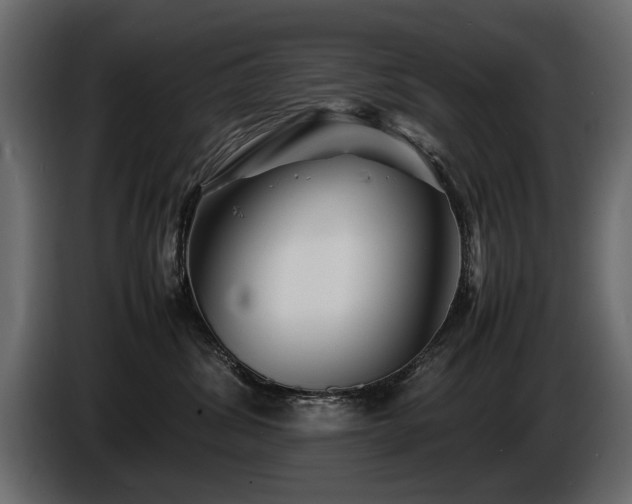 X0000085830428200703231424