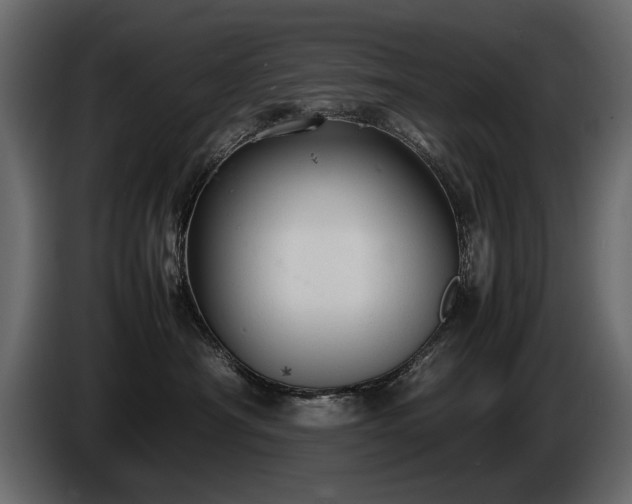 X0000085830430200703231424