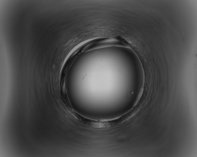 X0000085830432200703231424