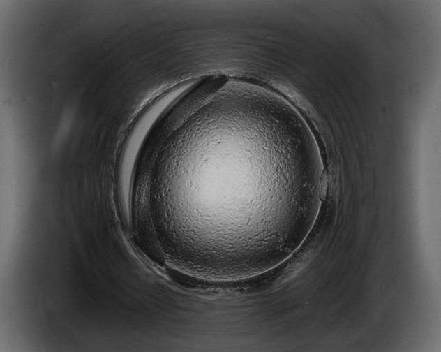 X0000085830434200703231424