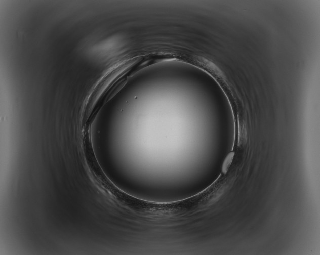 X0000085830435200703231424