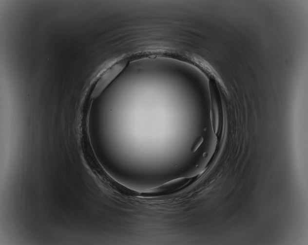 X0000085830436200703231424