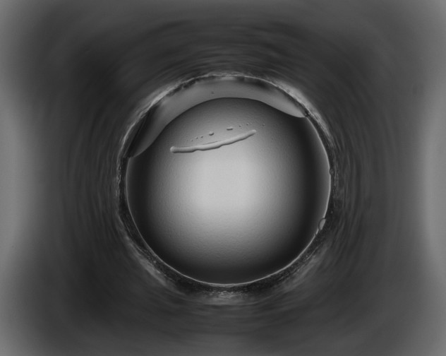 X0000085830437200703231424