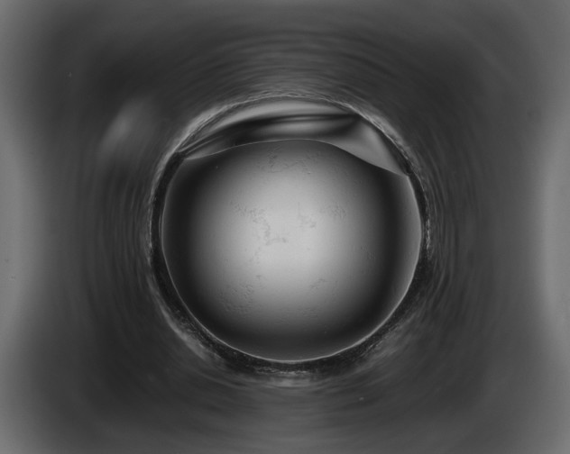 X0000085830438200703231424